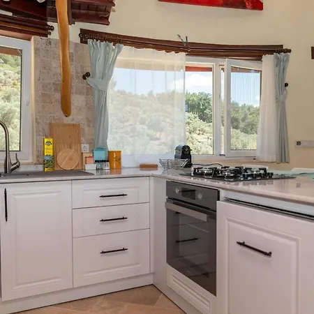 Captivating House With Private Pool Surrounded By Olive Grove In Seferihisar Villa Seferihisar
