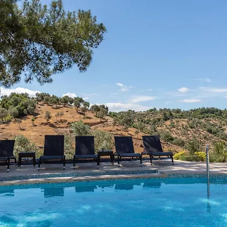 Captivating House With Private Pool Surrounded By Olive Grove In Seferihisar Villa *