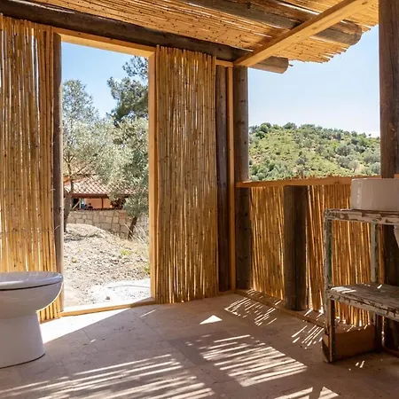 Captivating House With Private Pool Surrounded By Olive Grove In Seferihisar Villa *