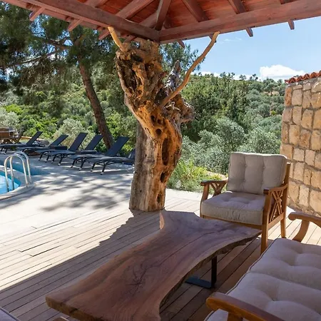 Captivating House With Private Pool Surrounded By Olive Grove In Seferihisar Seferihisar